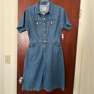 Levi Denim Button-Up Dress